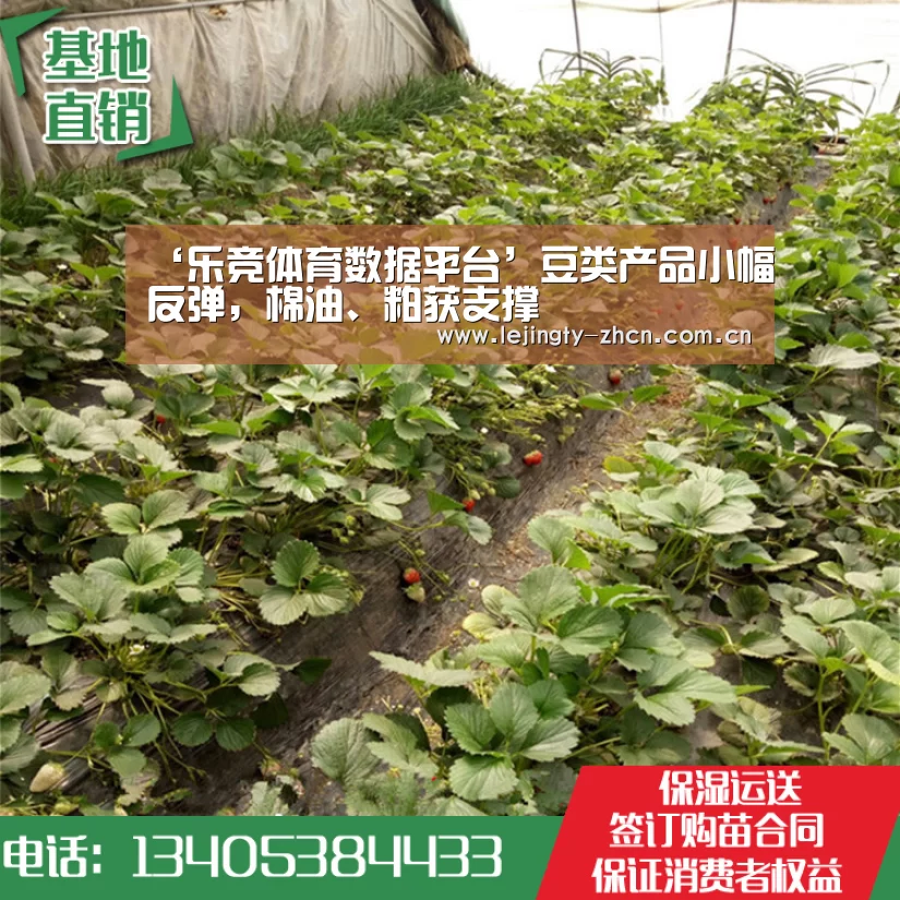 ‘乐竞体育数据平台’豆类产品小幅反弹,棉油、粕获支撑(图3) 乐竞官网登录入口