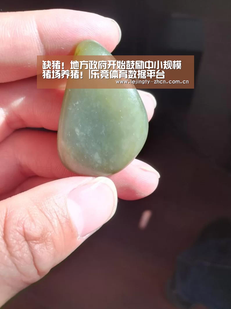 缺猪!地方政府开始鼓励中小规模猪场养猪!|乐竞体育数据平台(图1) 乐竞体育数据平台