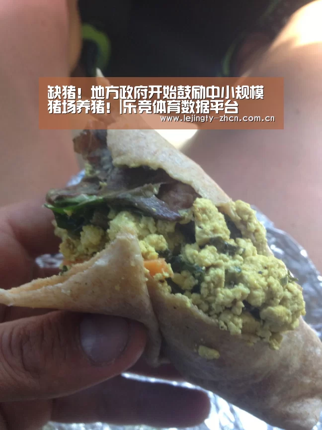 缺猪!地方政府开始鼓励中小规模猪场养猪!|乐竞体育数据平台(图3) 乐竞官网app下载