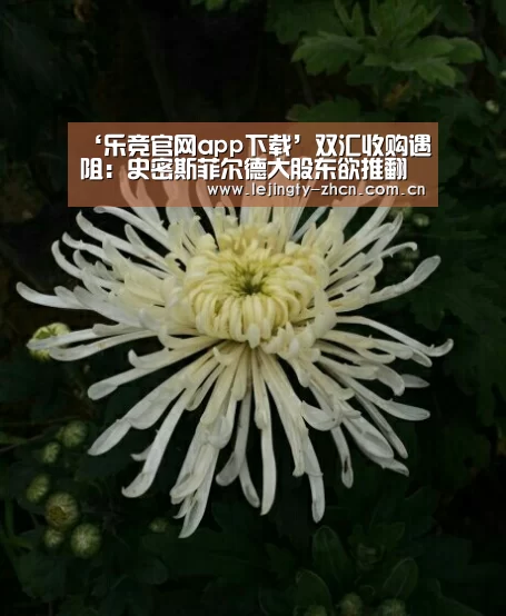 ‘乐竞官网app下载’双汇收购遇阻:史密斯菲尔德大股东欲推翻协议(图1) 乐竞体育数据平台